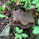 Image for article titled The Mysterious Pile Of 1950s Transmissions Buried At The Site Of An Old GM Plant
